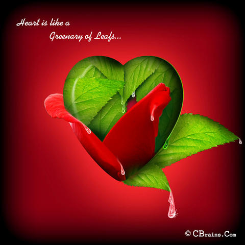 Love Nidhi 17